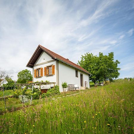 Weinlofts Weinloft I Villa Edlitz im Burgenland Exterior foto