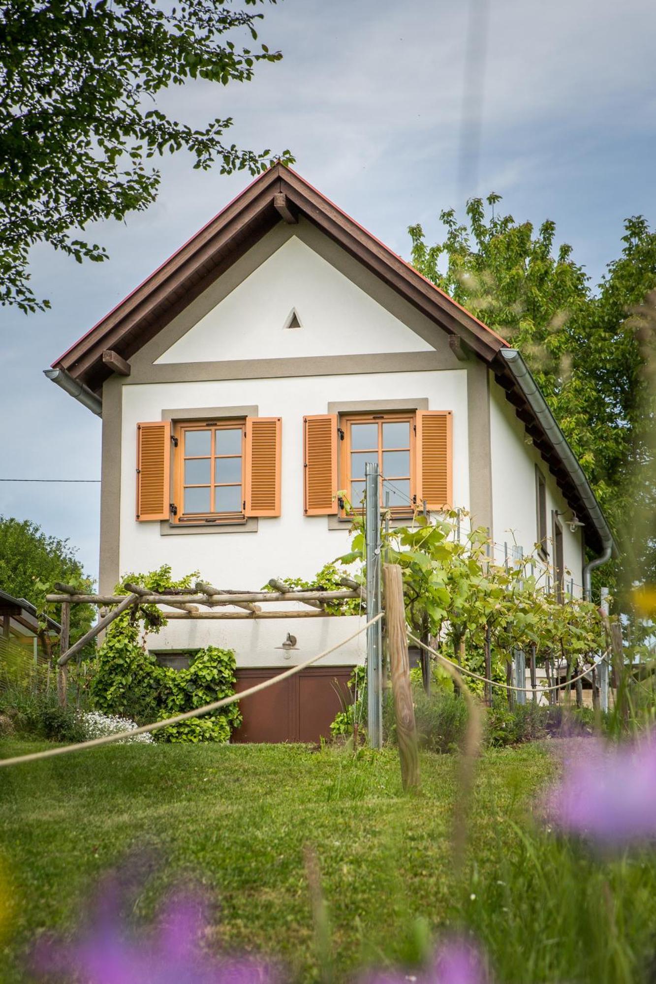 Weinlofts Weinloft I Villa Edlitz im Burgenland Exterior foto