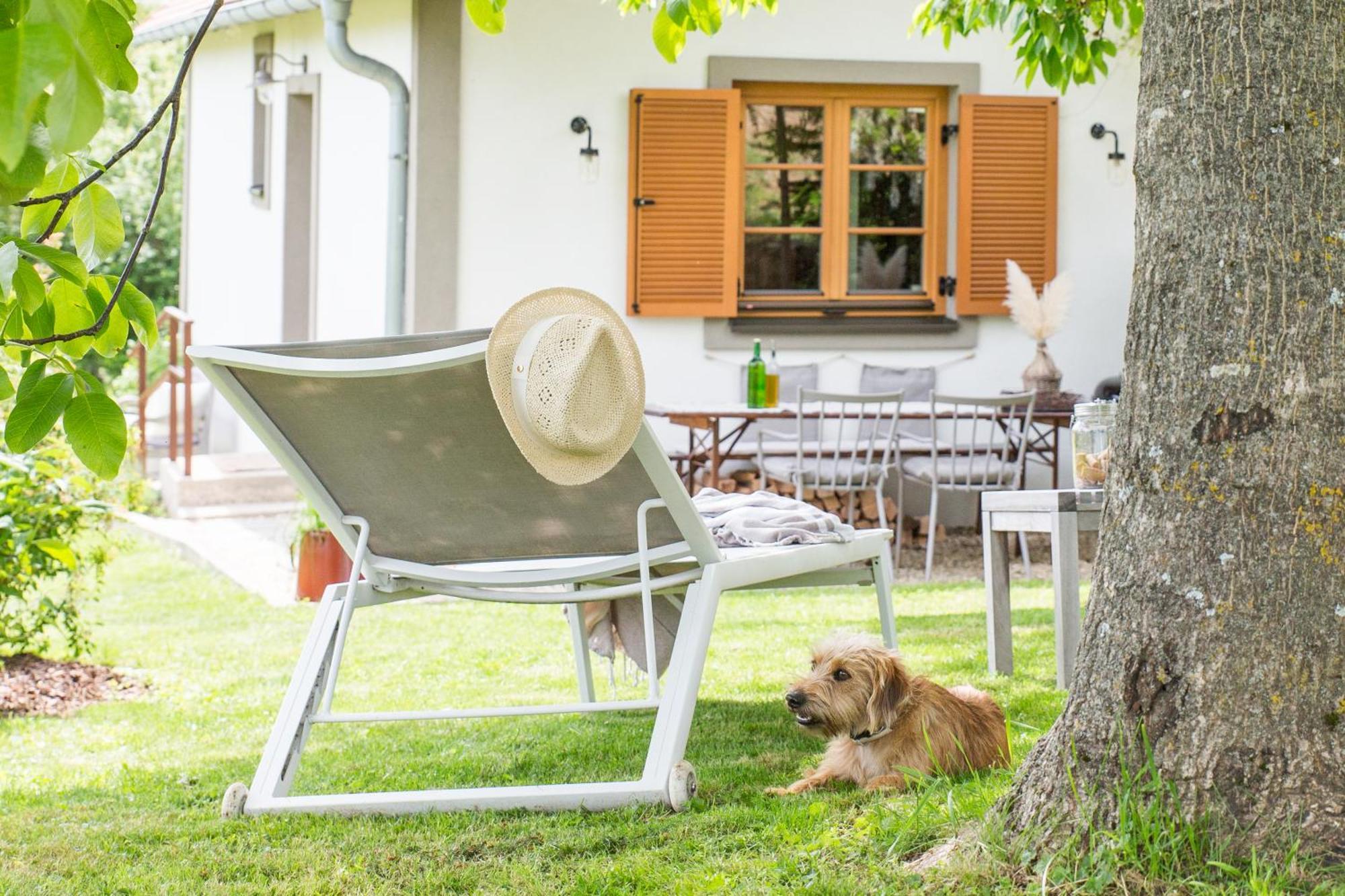 Weinlofts Weinloft I Villa Edlitz im Burgenland Exterior foto
